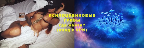 гашик Приозерск