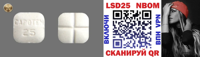 купить наркоту  Новоузенск  ЛСД экстази ecstasy 