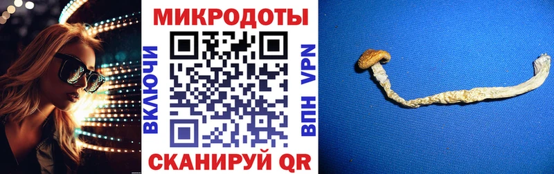 Псилоцибиновые грибы мицелий  наркота  Новоузенск 