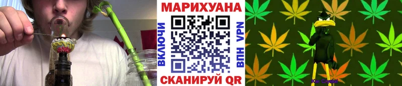 дарк нет официальный сайт  цена   Новоузенск  Каннабис AK-47 